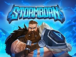 Stormborn game cover